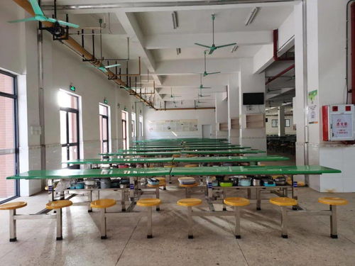 學校食堂 互聯網 明廚亮灶 建設工作,完成率100