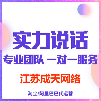 宜興阿里巴巴網(wǎng)店與網(wǎng)站建設(shè) 開(kāi)啟企業(yè)數(shù)字化增長(zhǎng)雙引擎